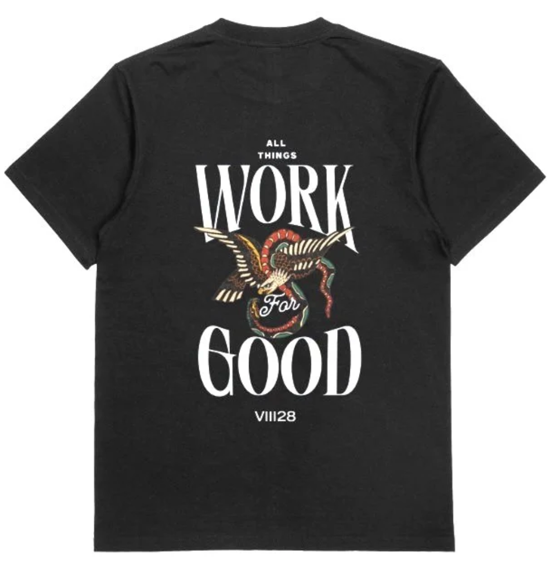 Eagle VIII28 Box Tee